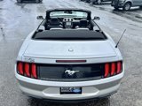 Used 2019 Ford Mustang Premium image 4
