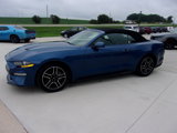 Used 2022 Ford Mustang Premium image 6
