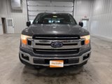 Used 2018 Ford F150 XLT w/ Equipment Group 301A Mid image 4