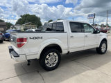 Used 2014 Ford F150 Platinum image 5