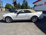 Used 2005 Ford Mustang Premium image 2
