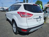 Used 2014 Ford Escape SE w/ Equipment Group 201A image 3