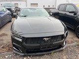 Certified 2024 Ford Mustang Premium w/ 2.3L High Performance Package image 2