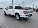 Used 2013 Ford F150 Platinum image 5