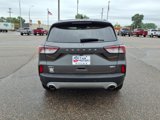 Used 2020 Ford Escape SEL image 5