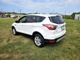 Used 2017 Ford Escape SE image 3