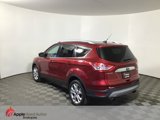 Used 2015 Ford Escape Titanium image 4