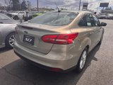 Used 2016 Ford Focus SE w/ Reverse Sensing Package image 4