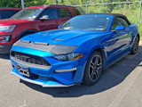 Used 2020 Ford Mustang Convertible w/ Equipment Group 101A image 3