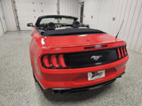 Used 2022 Ford Mustang Premium image 4