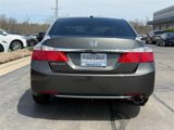 Used 2013 Honda Accord EX-L image 5