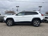 Used 2016 Jeep Cherokee Trailhawk w/ Comfort/Convenience Group image 2