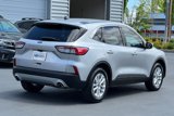 Used 2020 Ford Escape SE image 4