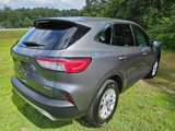 Certified 2022 Ford Escape SE image 5