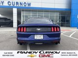 Used 2016 Ford Mustang Premium image 4