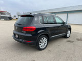 Used 2014 Volkswagen Tiguan SE image 6