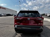 Used 2020 Toyota RAV4 XLE image 4