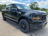 New 2025 Ford F150 STX image 3