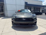 Used 2020 Ford Mustang Coupe w/ Equipment Group 101A image 2