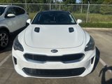 Used 2019 Kia Stinger Premium image 4