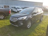 Used 2019 Ford Escape SEL image 6