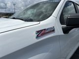Used 2020 Chevrolet Silverado 1500 Custom Trail Boss w/ Custom Convenience Package image 4