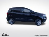 Used 2020 Ford EcoSport SE image 2
