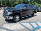 Used 2012 Ford F150 XLT w/ XLT Chrome Pkg image 3