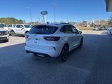 Used 2023 Ford Escape ST-Line Select w/ Tech Pack #2 image 6