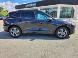 Used 2024 Ford Escape ST-Line w/ Cold Weather Package image 2