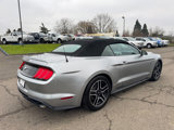 Used 2021 Ford Mustang Premium image 4
