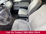 Used 2010 Ford F150 XLT image 5