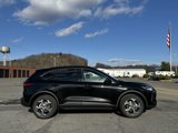 New 2025 Ford Escape ST-Line w/ Tech Pack #1 image 4