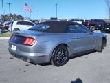 Certified 2022 Ford Mustang Premium image 3