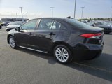 Used 2024 Toyota Corolla LE w/ LE Convenience Package image 5
