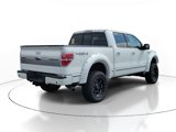 Used 2013 Ford F150 Platinum image 4