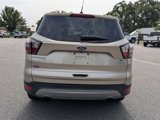 Used 2017 Ford Escape SE w/ Equipment Group 201A image 5