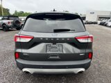 Used 2020 Ford Escape SEL image 4