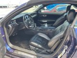 Used 2020 Ford Mustang Premium w/ Equipment Group 201A image 6