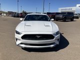 Certified 2023 Ford Mustang Premium image 2