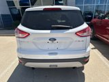 Used 2014 Ford Escape SE image 6