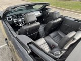 Used 2014 Ford Mustang Premium image 5