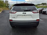 Used 2023 Jeep Cherokee Altitude Lux image 5