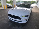 Used 2019 Ford Mustang Premium image 4