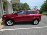 Used 2019 Ford Escape SE image 2