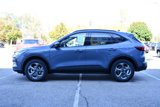 Used 2025 Ford Escape ST-Line w/ Tech Pack #1 image 5