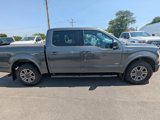 Used 2017 Ford F150 XLT w/ Equipment Group 302A Luxury image 2