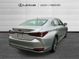 Certified 2024 Lexus ES 250 w/ Premium Package image 4
