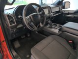 Used 2016 Ford F150 XLT w/ Equipment Group 302A Luxury image 4