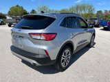 Used 2022 Ford Escape SEL image 4